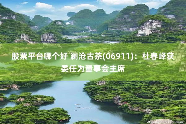 股票平台哪个好 澜沧古茶(06911):杜春峄获委任为董事会主席