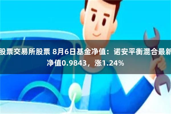股票交易所股票 8月6日基金净值:诺安平衡混合最新净值0.9843,涨1.24%