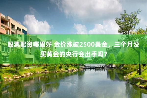 股票配资哪里好 金价涨破2500美金,三个月没买黄金的央行会出手吗?