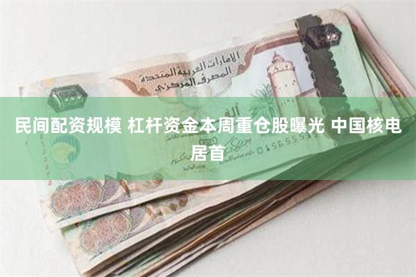 民间配资规模 杠杆资金本周重仓股曝光 中国核电居首