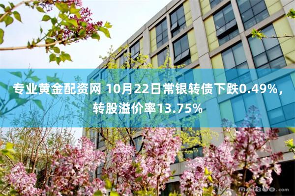 专业黄金配资网 10月22日常银转债下跌0.49%,转股溢价率13.75%