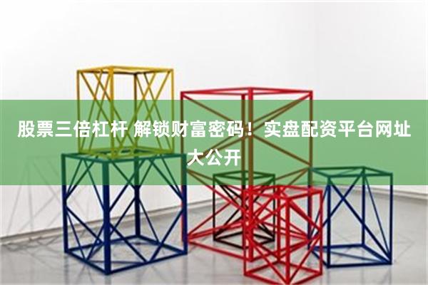 股票三倍杠杆 解锁财富密码！实盘配资平台网址大公开