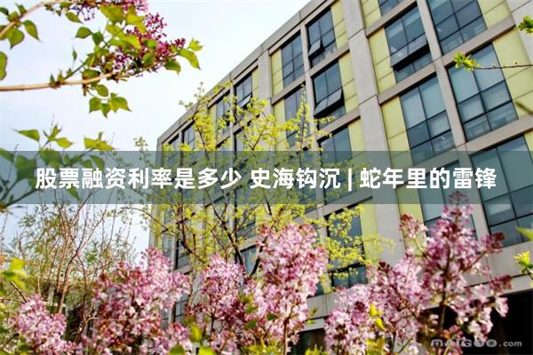 股票融资利率是多少 史海钩沉 | 蛇年里的雷锋