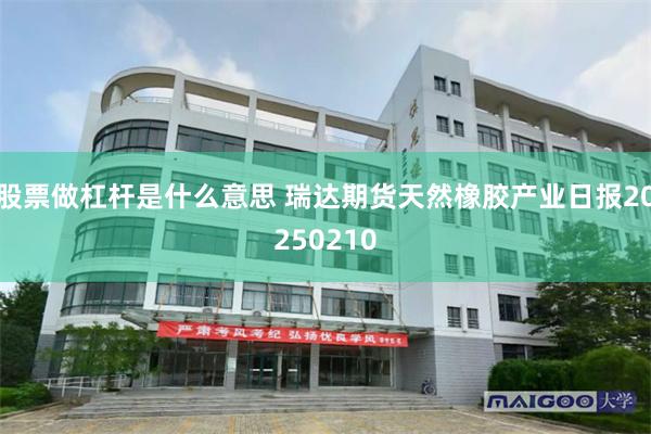 股票做杠杆是什么意思 瑞达期货天然橡胶产业日报20250210