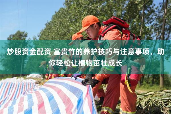 炒股资金配资 富贵竹的养护技巧与注意事项，助你轻松让植物茁壮成长
