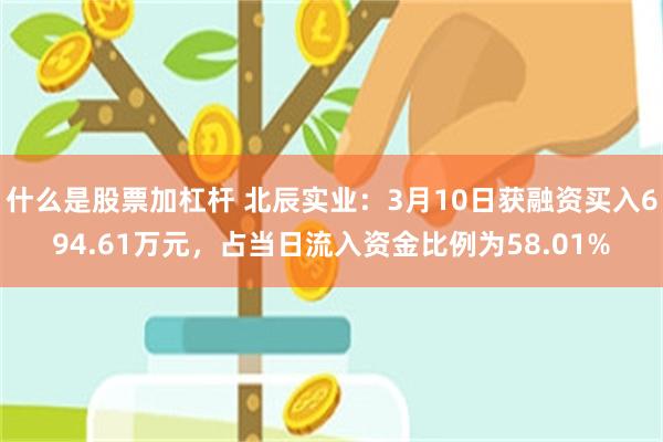 什么是股票加杠杆 北辰实业:3月10日获融资买入694.61万元,占当日流入资金比例为58.01%