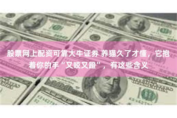 股票网上配资可靠大牛证券 养猫久了才懂，它抱着你的手“又咬又蹬”，有这些含义