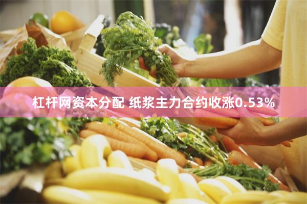 杠杆网资本分配 纸浆主力合约收涨0.53%