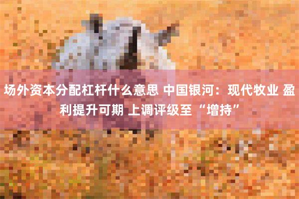 场外资本分配杠杆什么意思 中国银河：现代牧业 盈利提升可期 上调评级至 “增持”