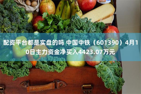 配资平台都是实盘的吗 中国中铁（601390）4月10日主力资金净买入4423.07万元