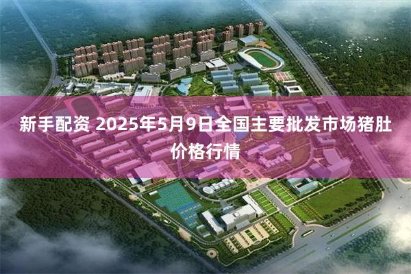 新手配资 2025年5月9日全国主要批发市场猪肚价格行情