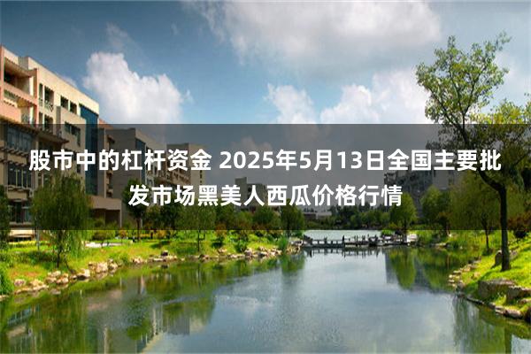 股市中的杠杆资金 2025年5月13日全国主要批发市场黑美人西瓜价格行情