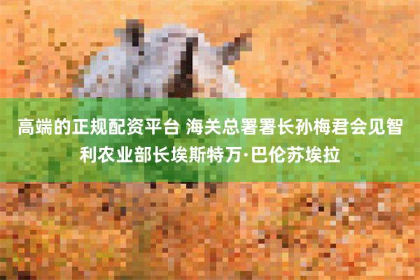 高端的正规配资平台 海关总署署长孙梅君会见智利农业部长埃斯特万·巴伦苏埃拉