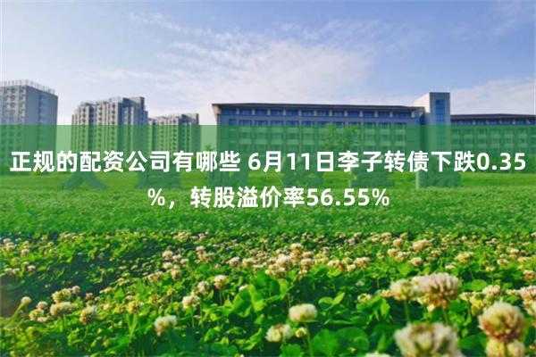 正规的配资公司有哪些 6月11日李子转债下跌0.35%，转股溢价率56.55%
