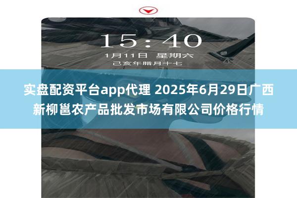 实盘配资平台app代理 2025年6月29日广西新柳邕农产品批发市场有限公司价格行情