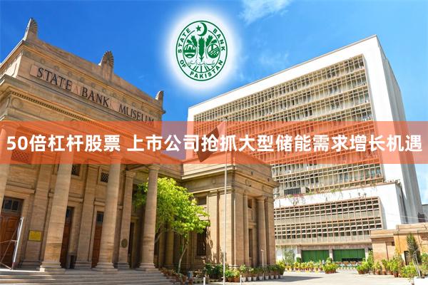 50倍杠杆股票 上市公司抢抓大型储能需求增长机遇